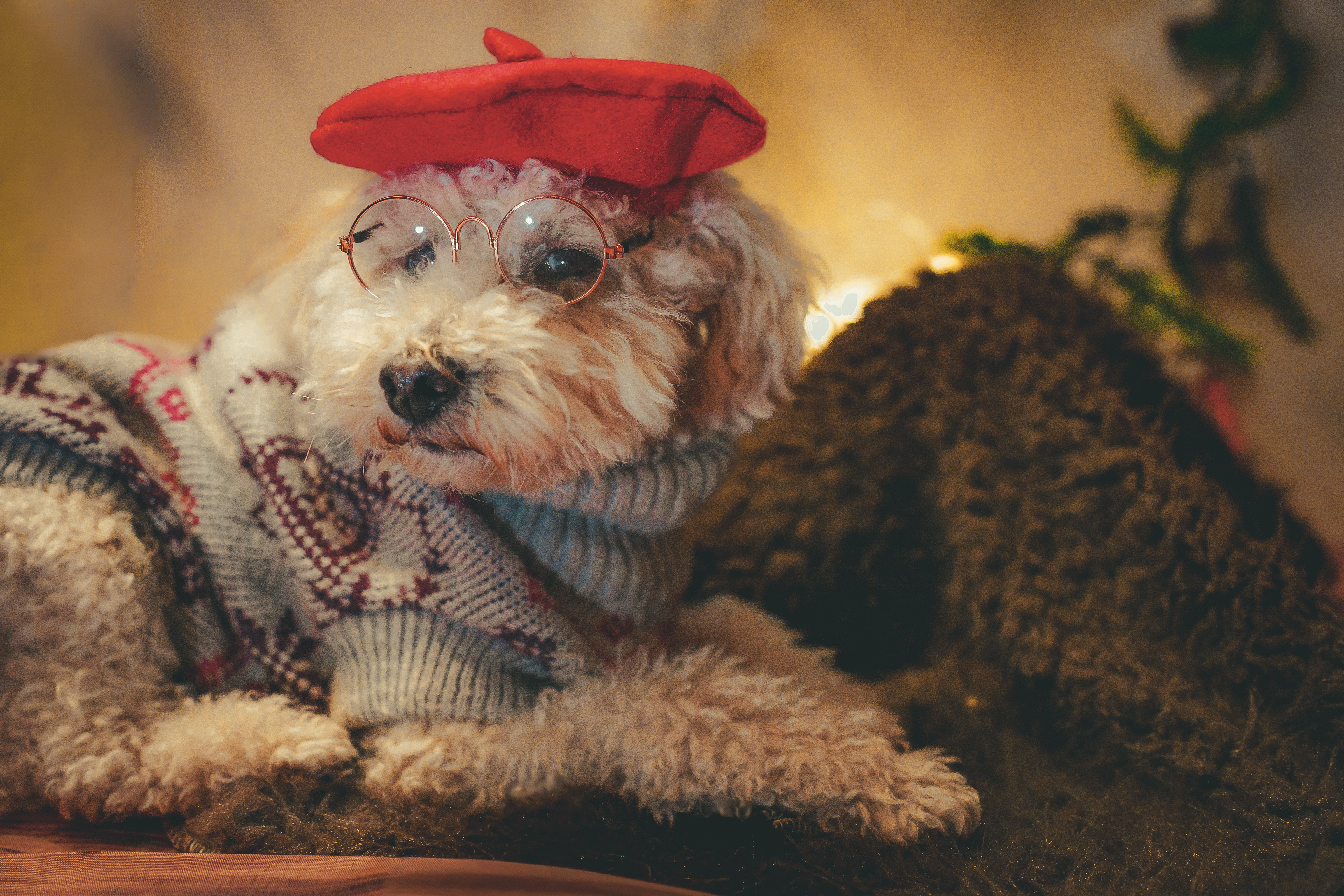 Pets (Christmas Only)